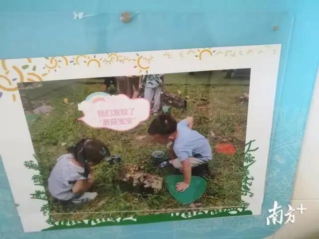 天河实验幼儿园的孩子在观察自然.jpg