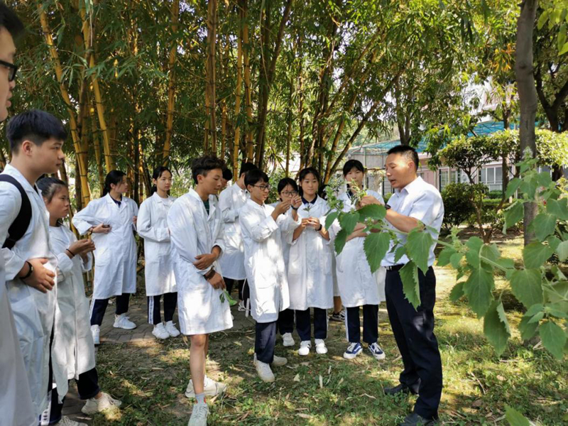 药用植物园-识药.jpg