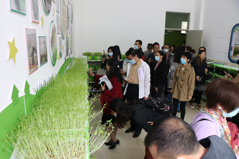 增江小学.jpg