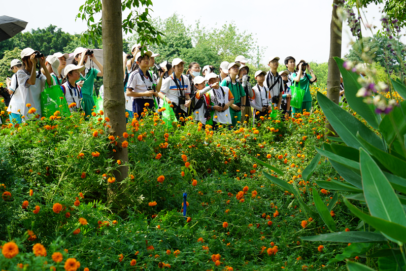 同学们观察动植物.jpg